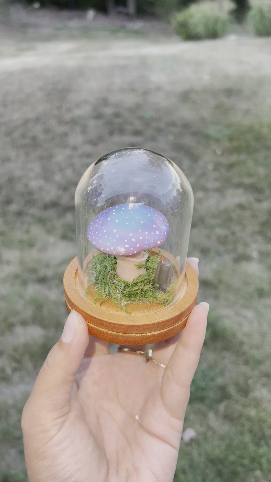Purple and Blue Ombré Mini Mushroom Terrarium