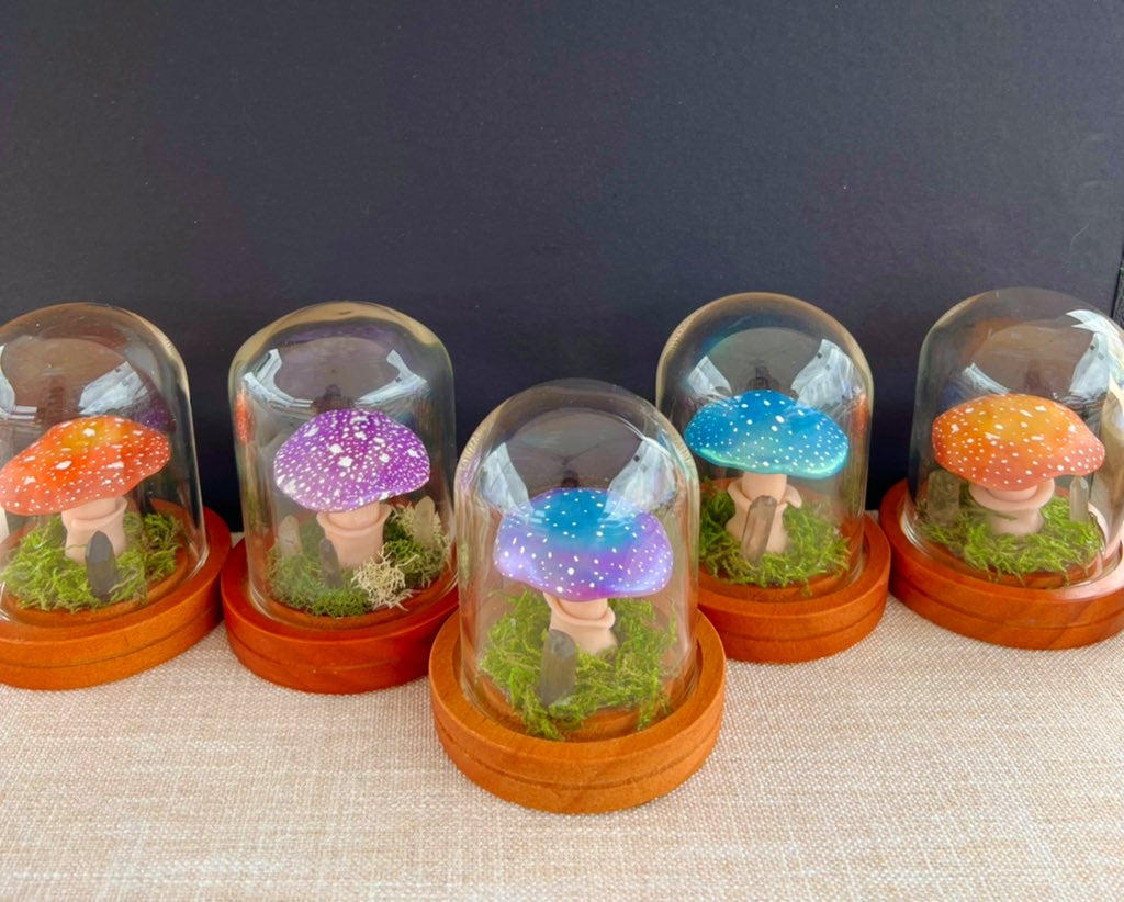 Mini Mushroom Terrariums