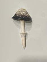 Load image into Gallery viewer, Mushroom Magnets
