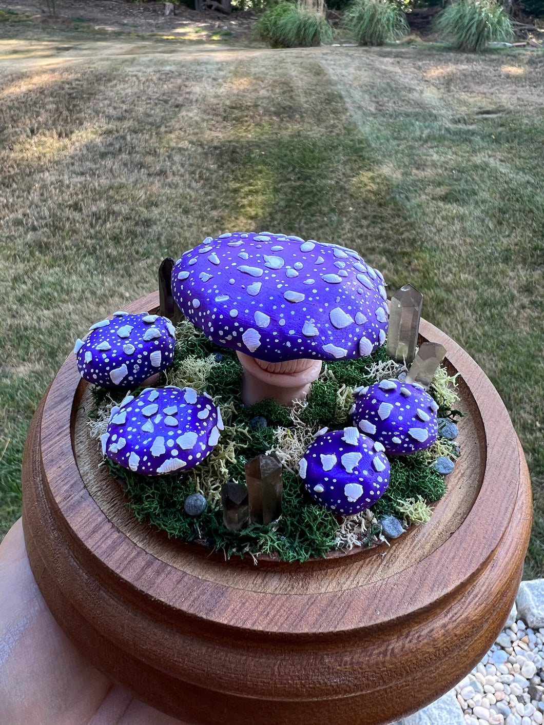 XL Mushroom Terrarium